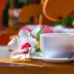 Pensiunea Kronstadt Guest house 3*
