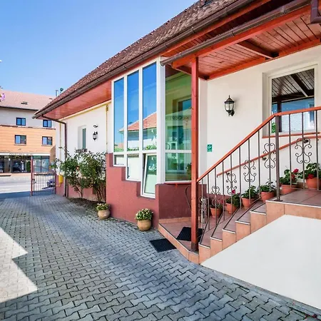 Pensiunea Kronstadt 招待所 布拉索夫