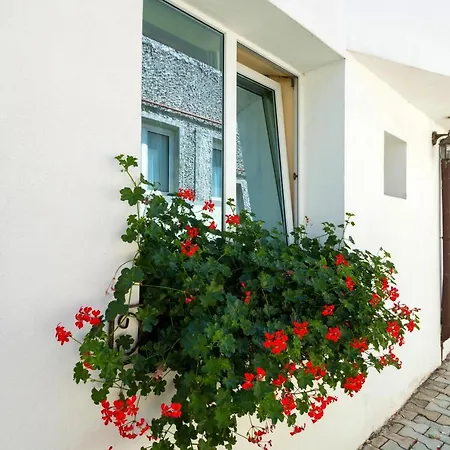 Pensiunea Kronstadt 招待所 3*