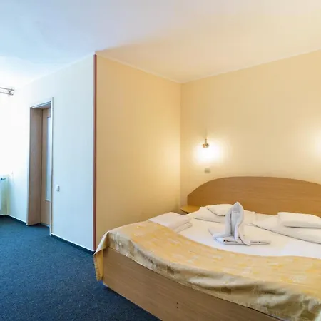 Pensiunea Kronstadt Гостьовий будинок