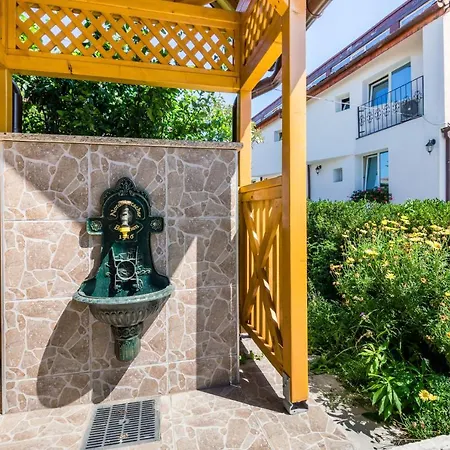 Pensiunea Kronstadt 3* 布拉索夫