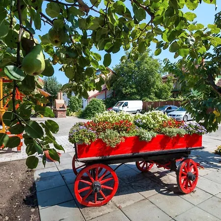 Pensiunea Kronstadt 3*