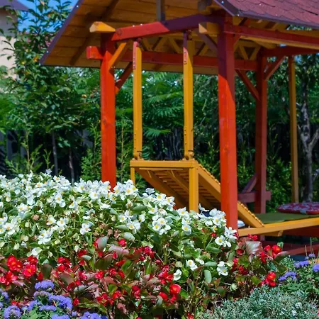 Maison d'hôtes Pensiunea Kronstadt