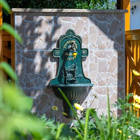 Pensiunea Kronstadt 布拉索夫