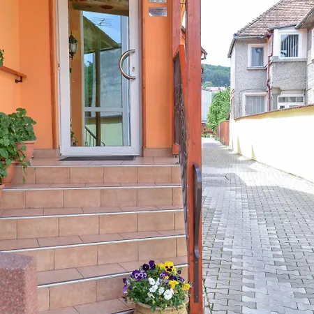 Pensiunea Kronstadt 招待所 3*