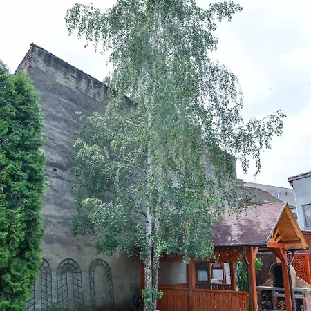 Pensiunea Kronstadt 招待所 布拉索夫