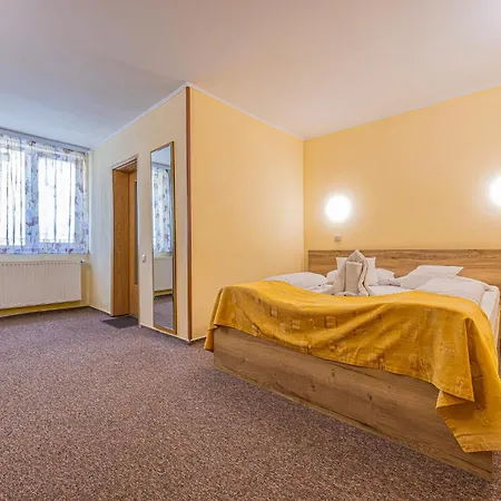Guest house Pensiunea Kronstadt 3*