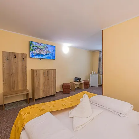 Guest house Pensiunea Kronstadt