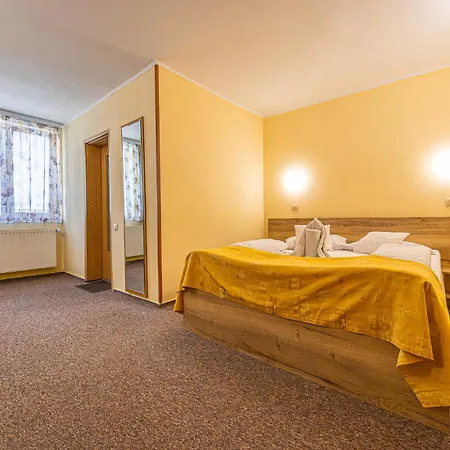 Pensiunea Kronstadt 3*