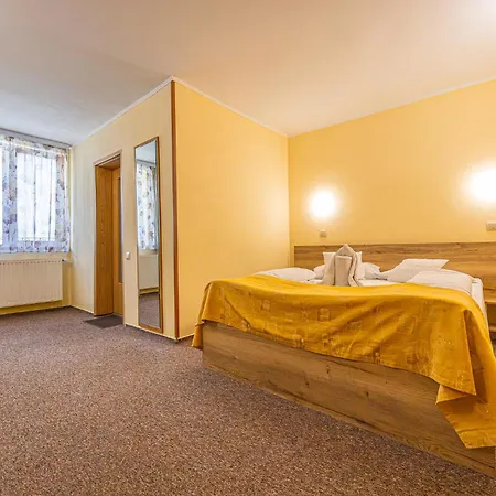 Pensiunea Kronstadt Guest house 3*