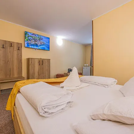 Guest house Pensiunea Kronstadt