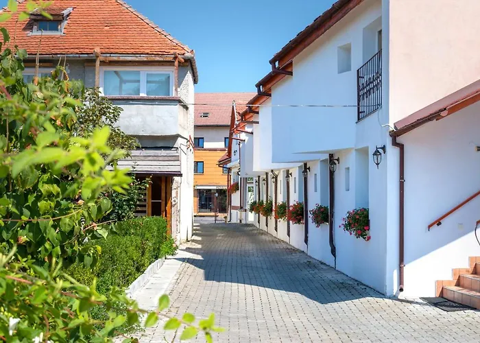 Pensiunea Kronstadt 3*