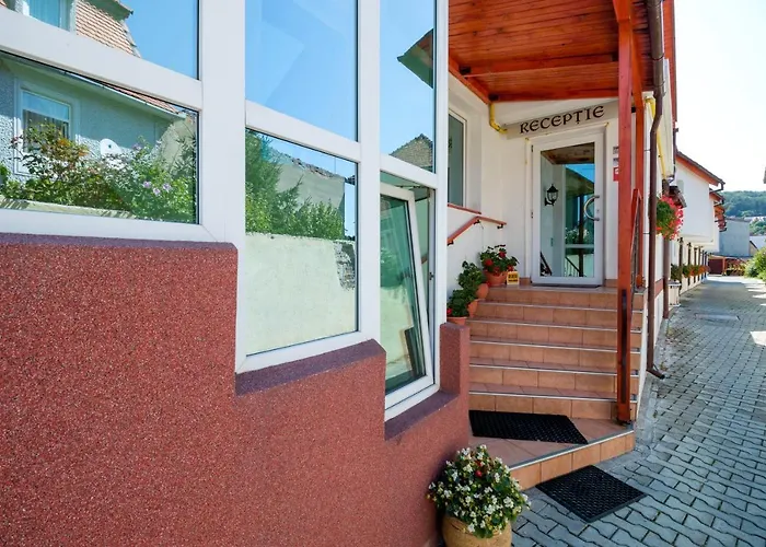 Pensiunea Kronstadt 布拉索夫