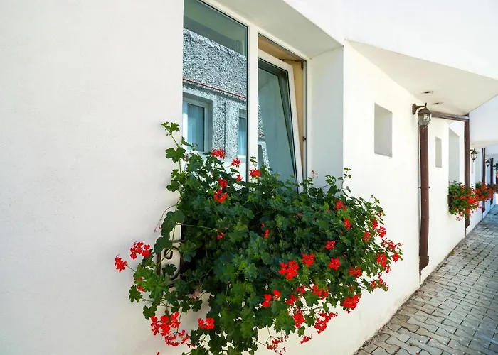 Pensiunea Kronstadt Guest house 3*