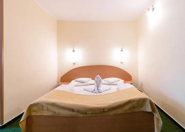 Guest house Pensiunea Kronstadt Brasov