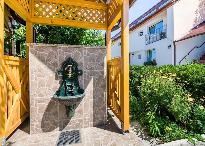 Pensiunea Kronstadt 3* 布拉索夫