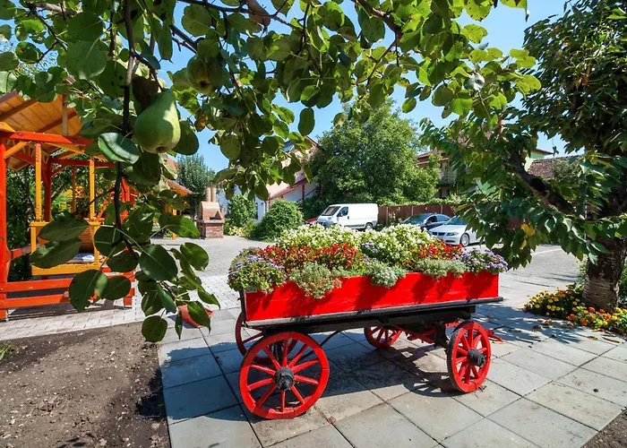 Pensiunea Kronstadt 3*