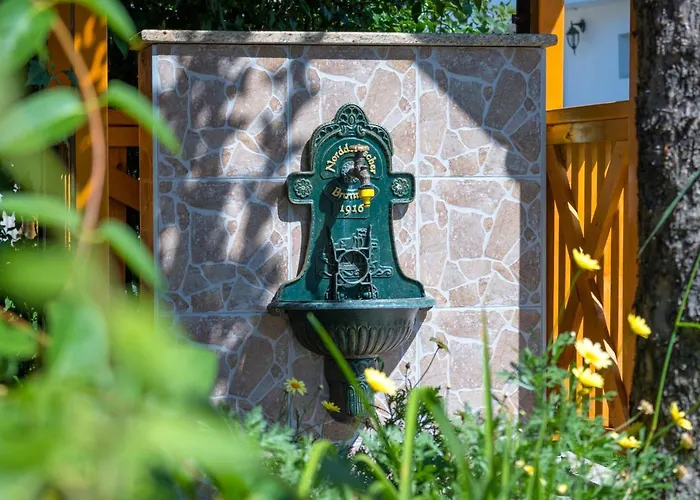 Pensiunea Kronstadt 布拉索夫