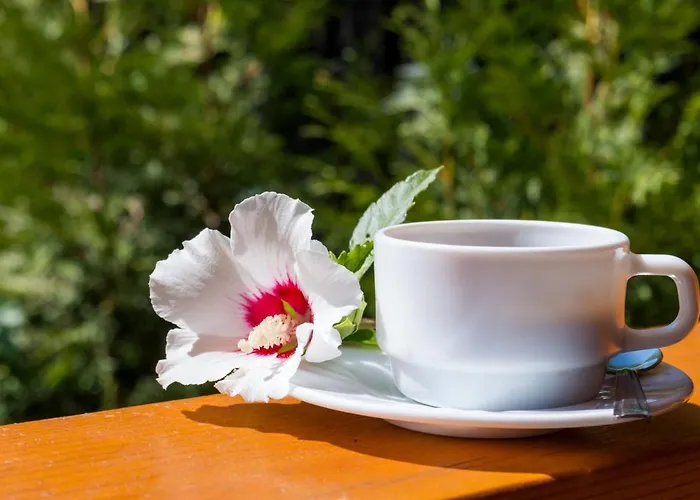 Pensiunea Kronstadt 招待所 3*