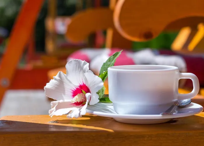 Pensiunea Kronstadt Guest house 3*