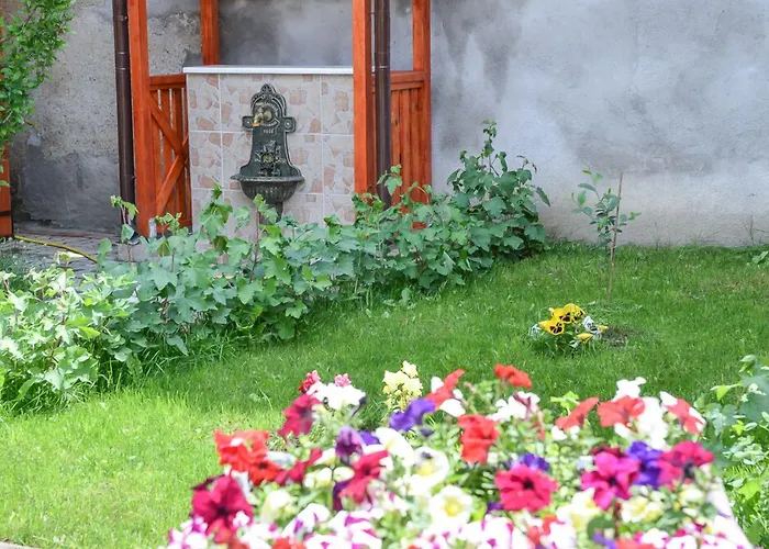 Pensiunea Kronstadt Guest house Brasov