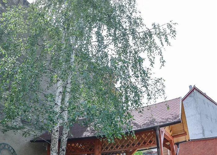 Pensiunea Kronstadt 招待所 3*